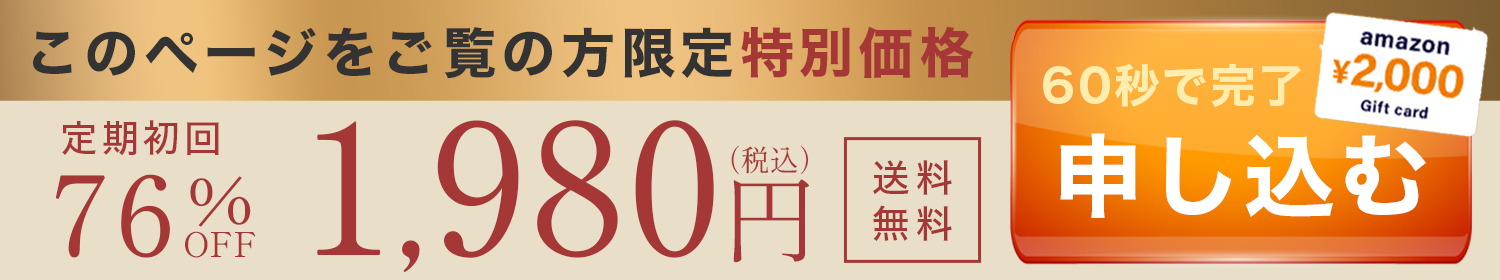 今すぐ購入